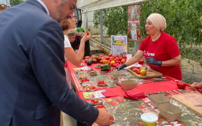 Fête de la tomate